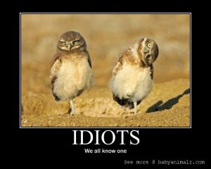 idiots-motivational-poster