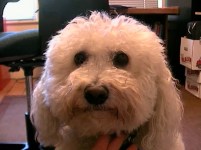 SANYO DIGITAL CAMERA